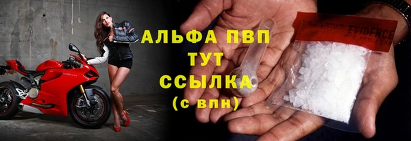 молекула духа Кинешма