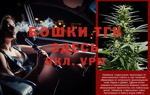 молекула духа Кинешма