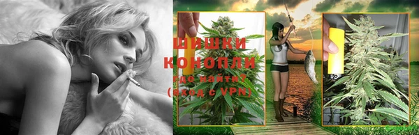 apvp Козельск