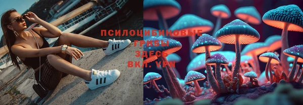 прущая мука Козловка